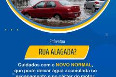 novo-normal novo-normal